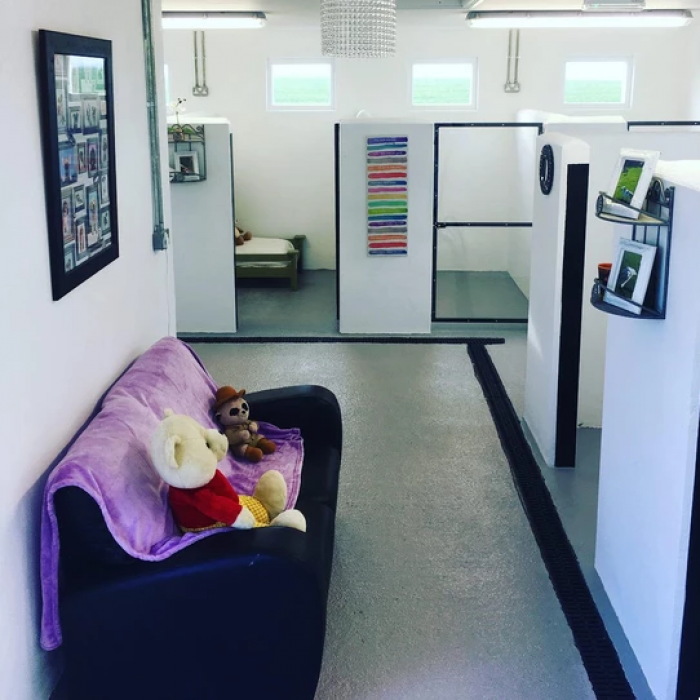 Dubin Rural Leader supported project - The Dog Lodge & Lounge Lusk 